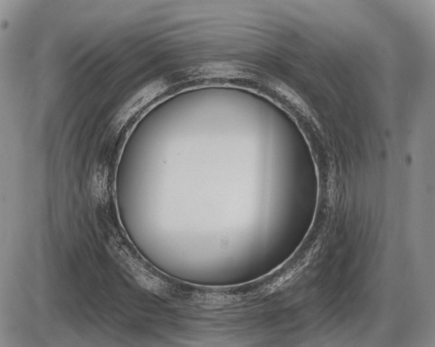 X0000087410873200704201358