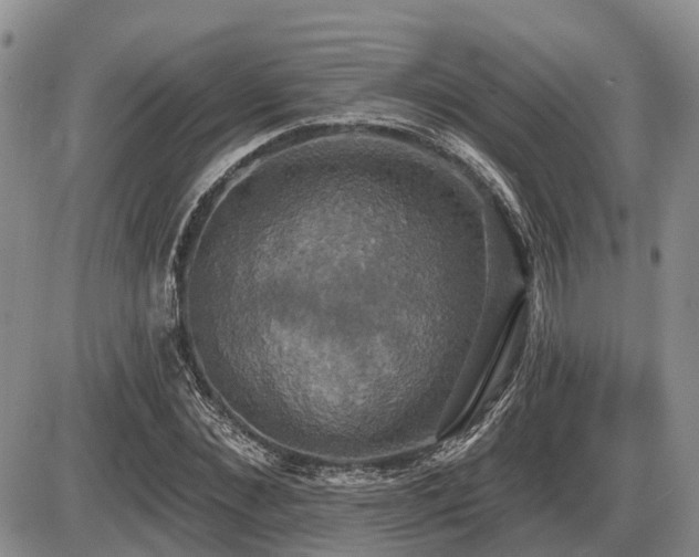 X0000087410876200704201358