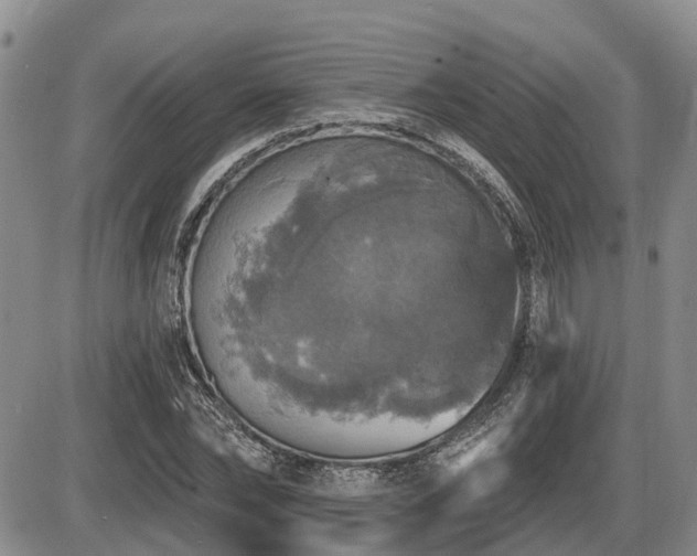 X0000087410878200704201358