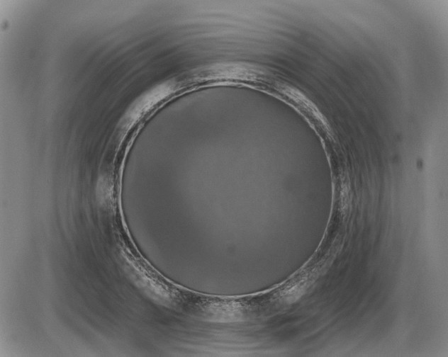 X0000087410882200704201358