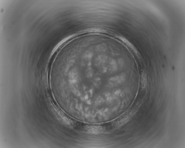 X0000087410886200704201358