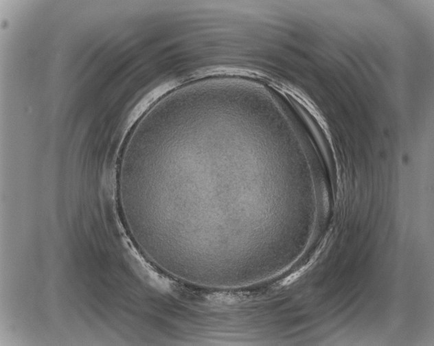 X0000087410898200704201358