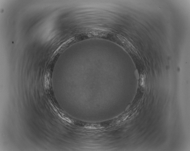 X0000087410915200704201357