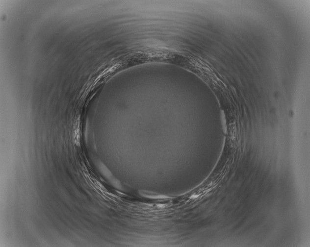 X0000087410916200704201357