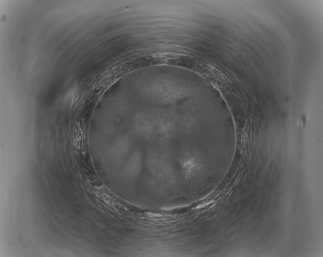 X0000087410917200704201357