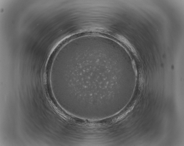 X0000087410924200704201357