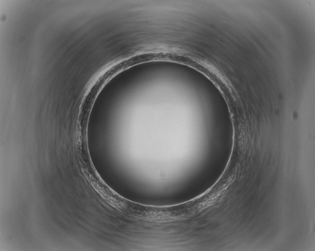X0000087410927200704201357