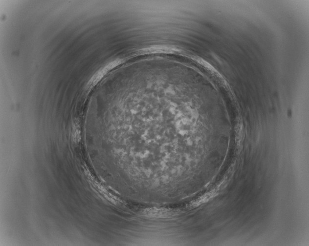X0000087410929200704201357