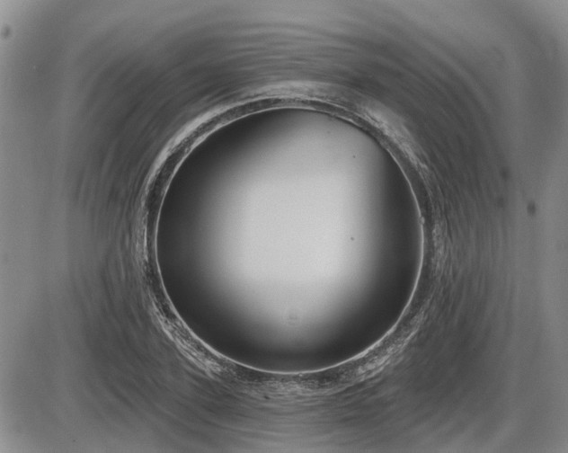 X0000087410931200704201357