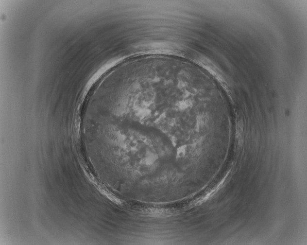 X0000087410933200704201357