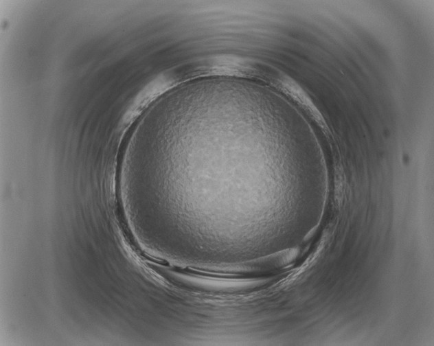 X0000087410938200704201357