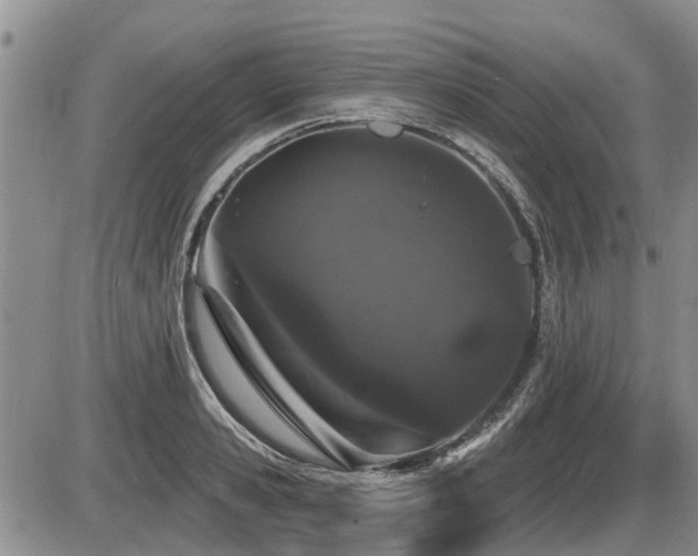 X0000087410941200704201357