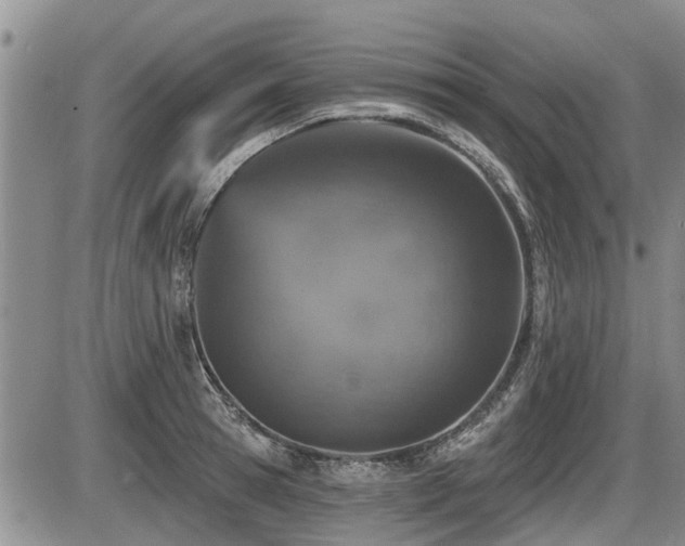X0000087410945200704201357