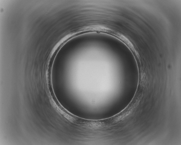X0000087410947200704201357