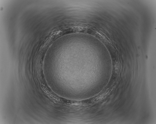 X0000087410961200704201357