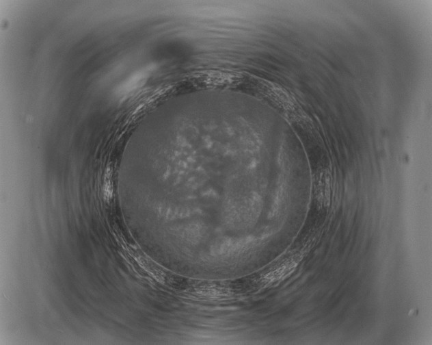 X0000087410962200704201357