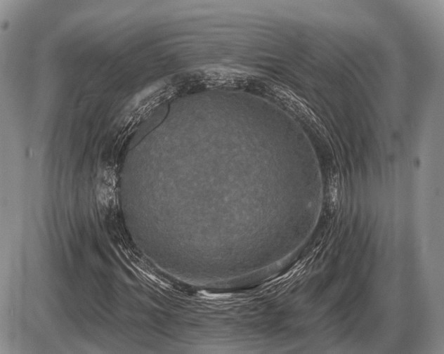 X0000087410964200704201357