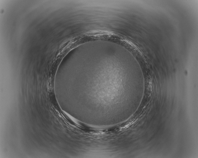 X0000087410965200704201357