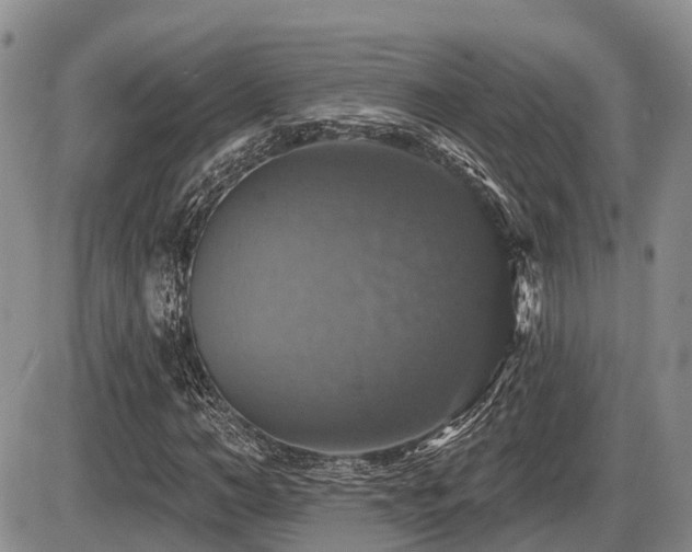 X0000087410966200704201357