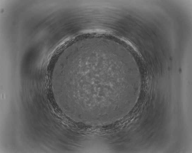 X0000087410967200704201357