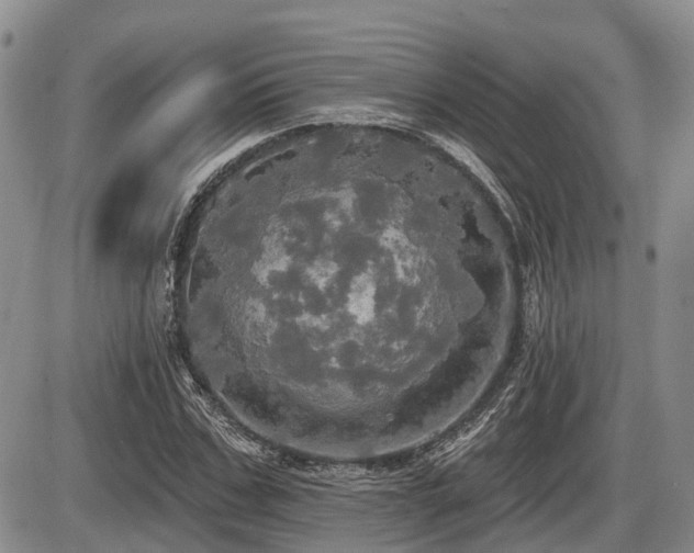 X0000087410971200704201357
