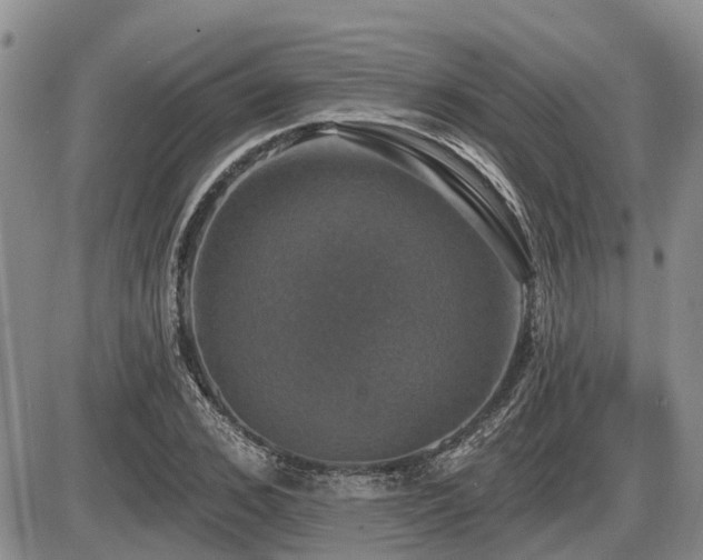 X0000087410976200704201357