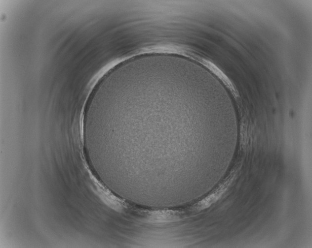 X0000087410988200704201356