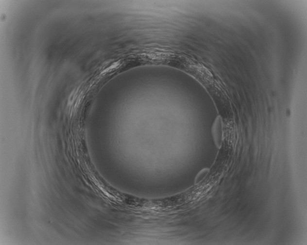 X0000087411009200704201355