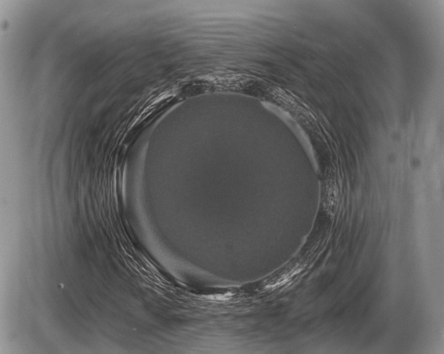 X0000087411010200704201355