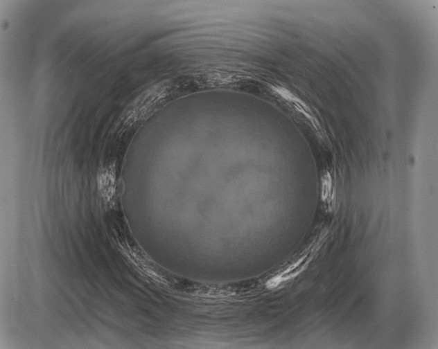 X0000087411011200704201355