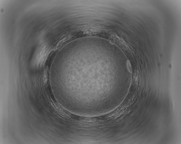 X0000087411012200704201355