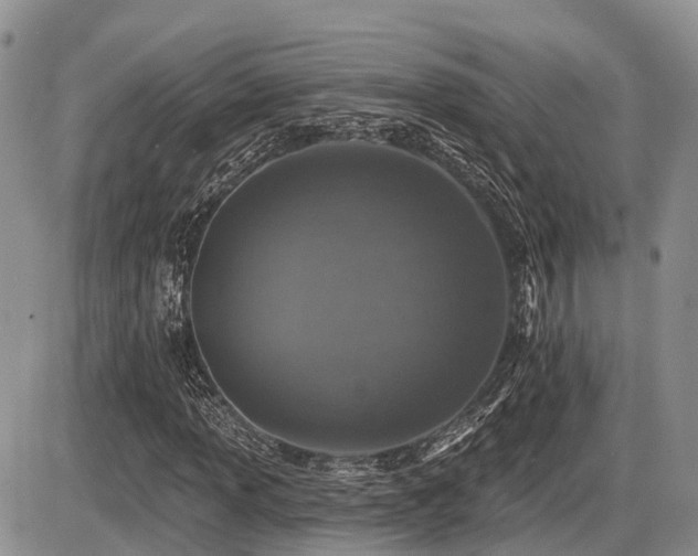 X0000087411013200704201355