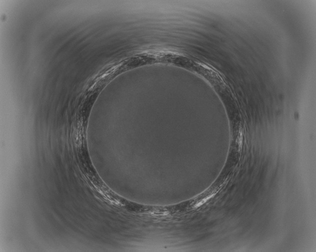 X0000087411014200704201355