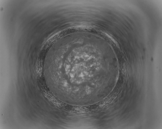 X0000087411015200704201355