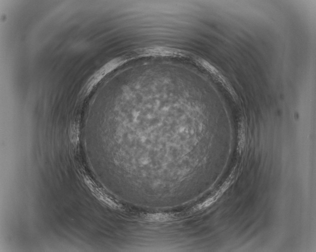 X0000087411017200704201355