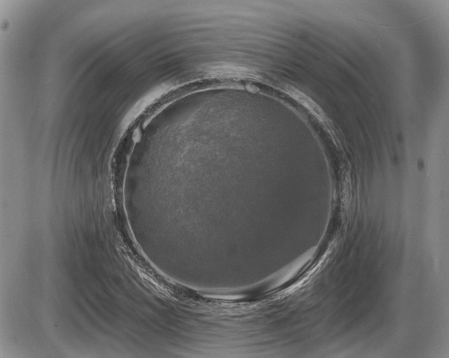 X0000087411022200704201355
