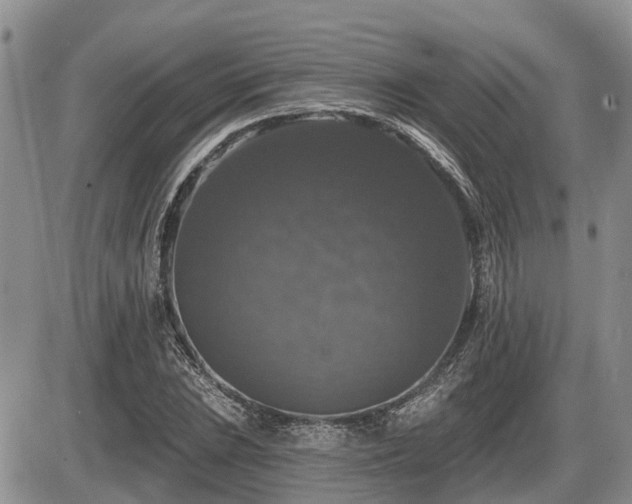 X0000087411023200704201355
