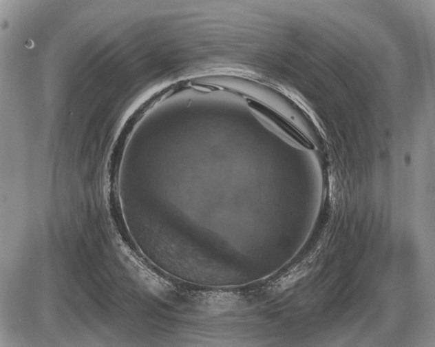 X0000087411024200704201355