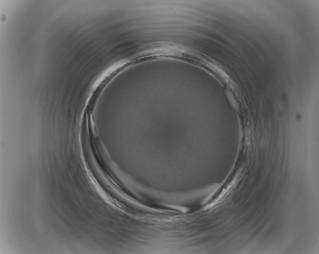 X0000087411034200704201356