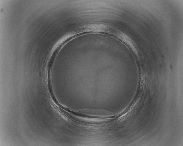 X0000087411035200704201356