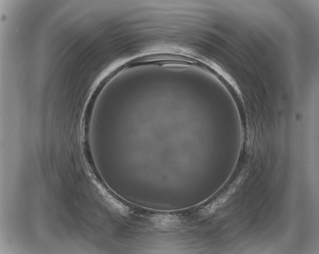 X0000087411037200704201356