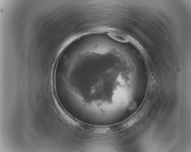 X0000087411055200704201356