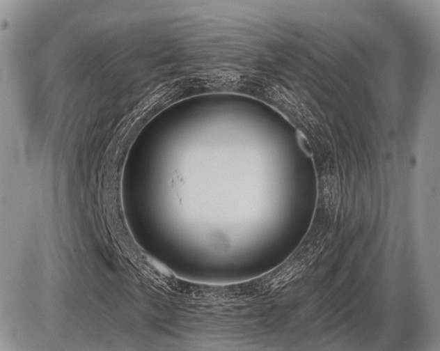 X0000087411057200704201355