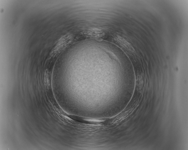 X0000087411058200704201355