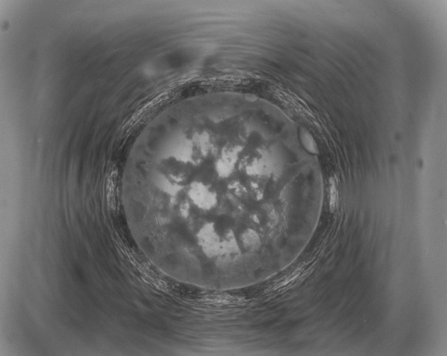 X0000087411059200704201355