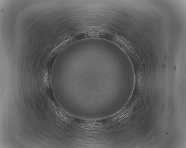 X0000087411060200704201355