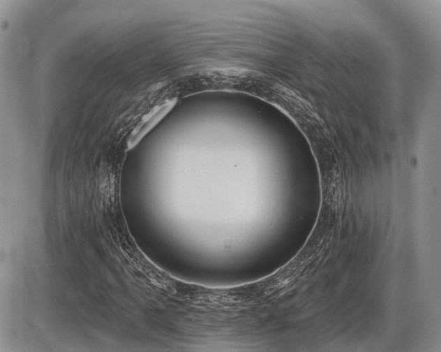 X0000087411061200704201355