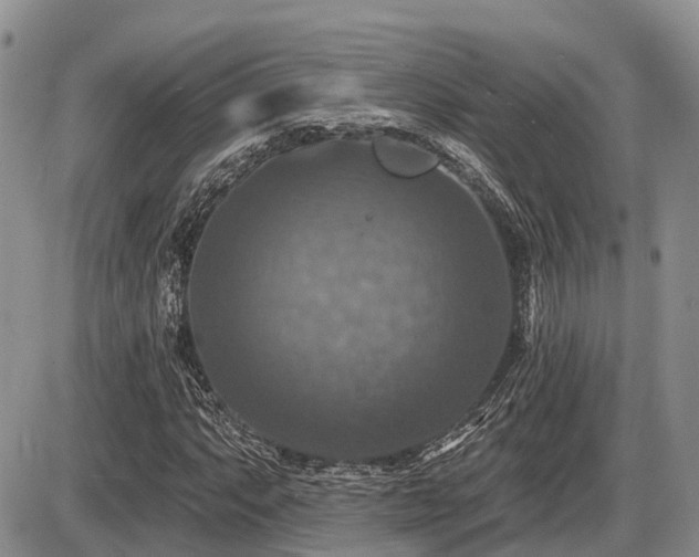 X0000087411063200704201355
