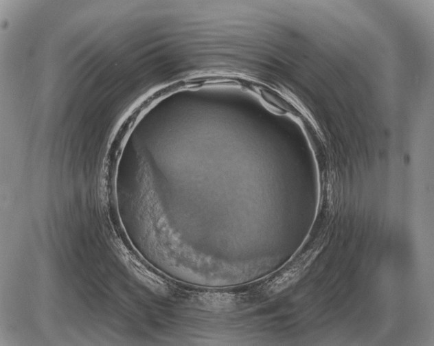 X0000087411068200704201355