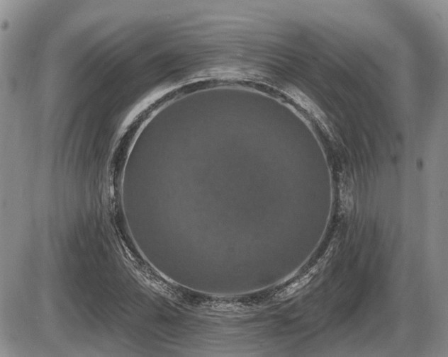 X0000087411070200704201355